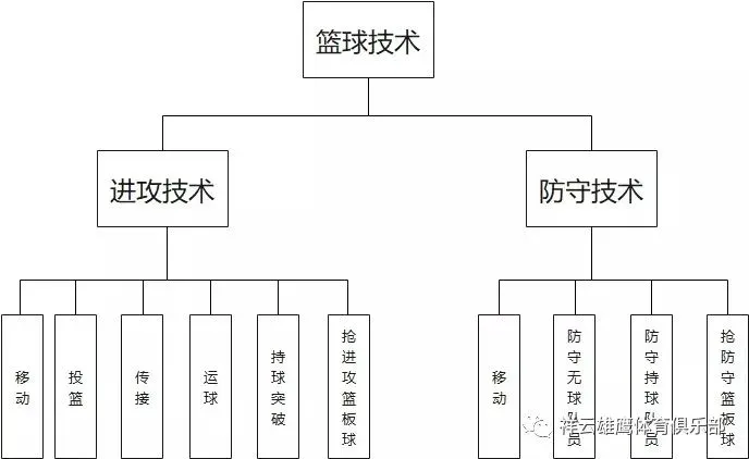通过篮球训练提高协调性的实用技巧_2